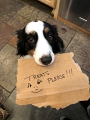 ZoeySigns_12-2020 (1)